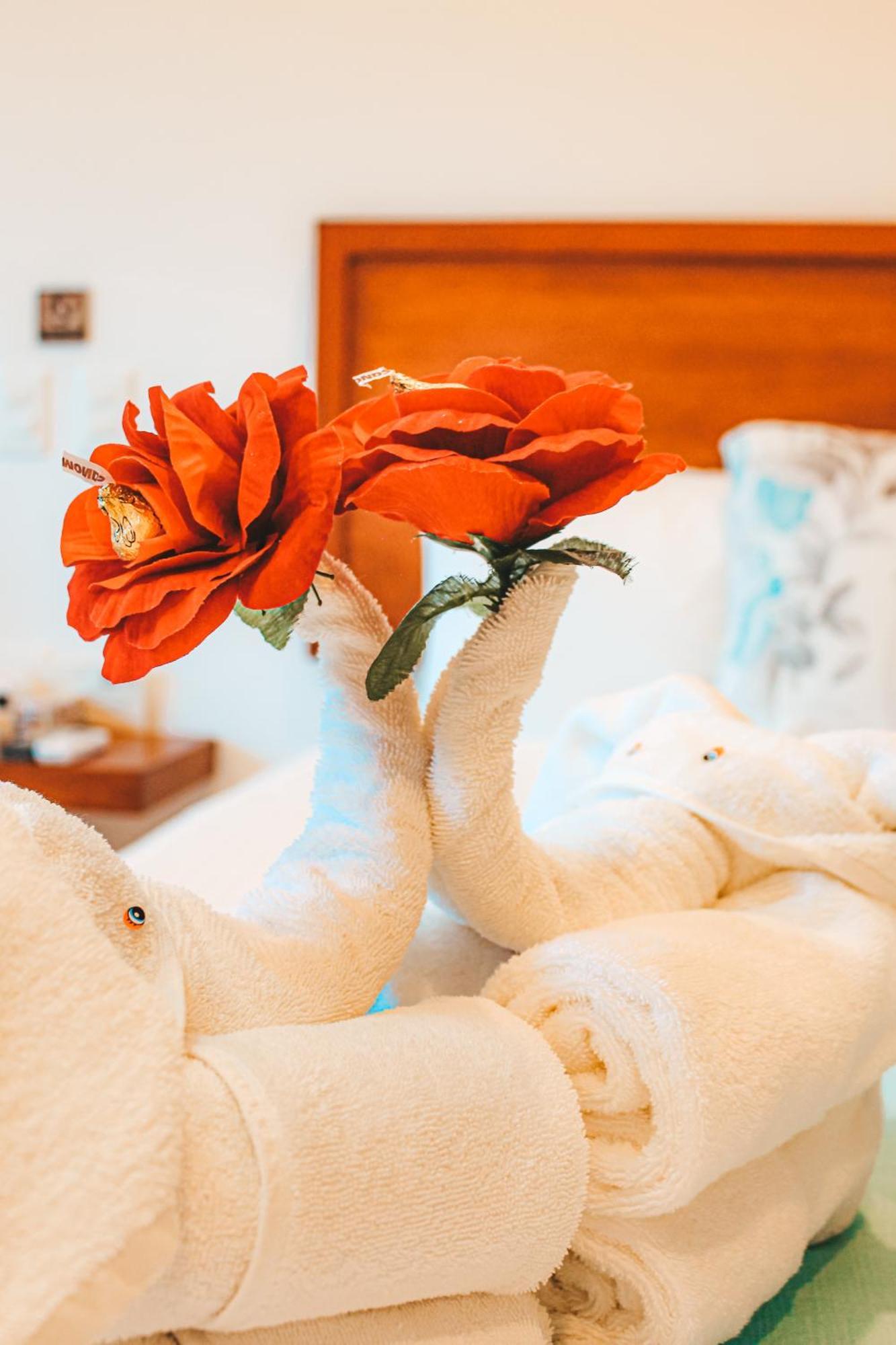 Naj Casa Hotel 5*