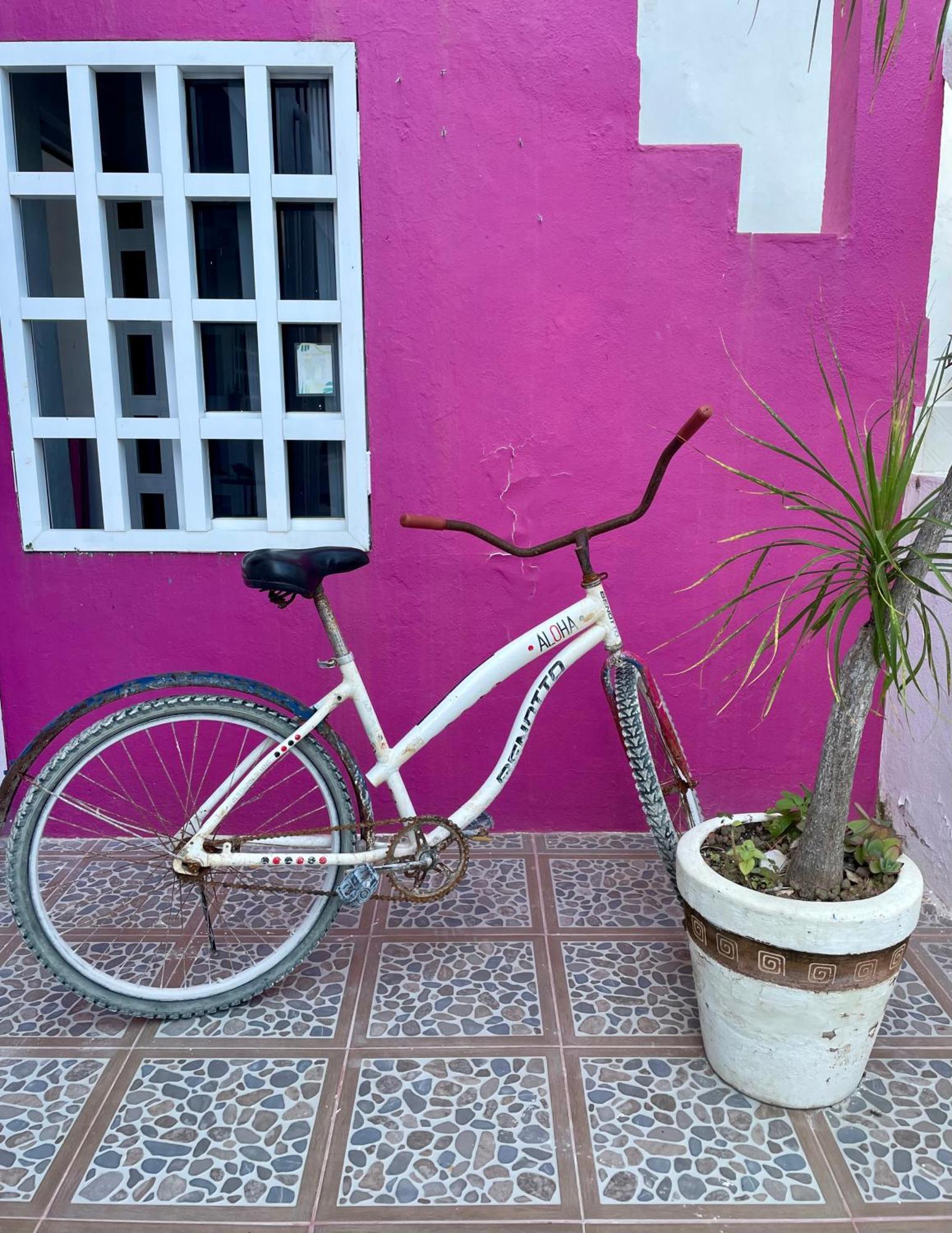 Hostal Pachamama - & Private