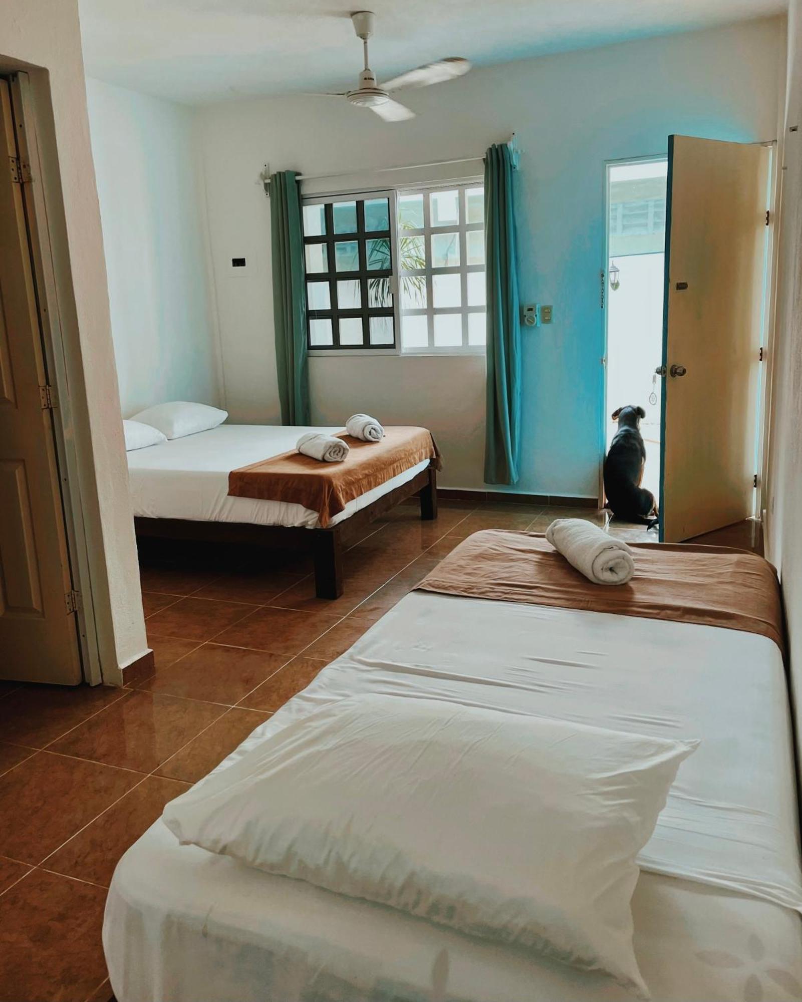 Hostal Pachamama - & Private *