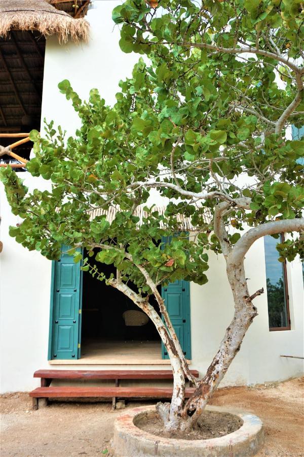 Boutique La Puerta Azul Beachfront - Adults Only Isla Holbox