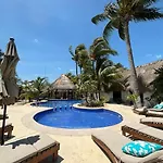 Mayan Mittoz