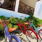 El Jardin De Los Aluxes