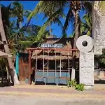 Mayan Mittoz