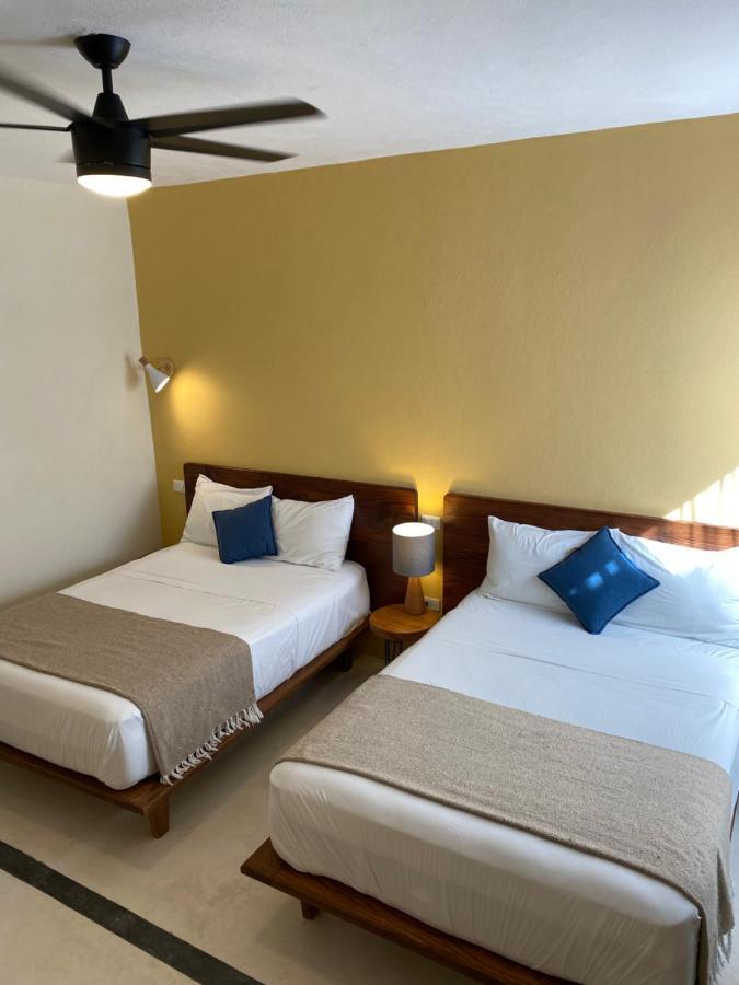 Aurora Isla Holbox