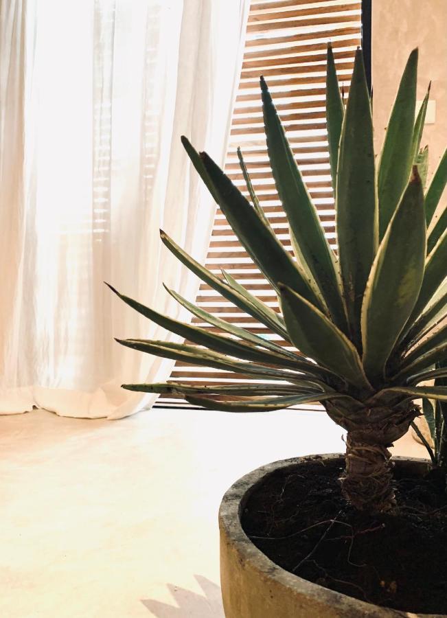 Apartamento & Madre Self-check In Isla Holbox