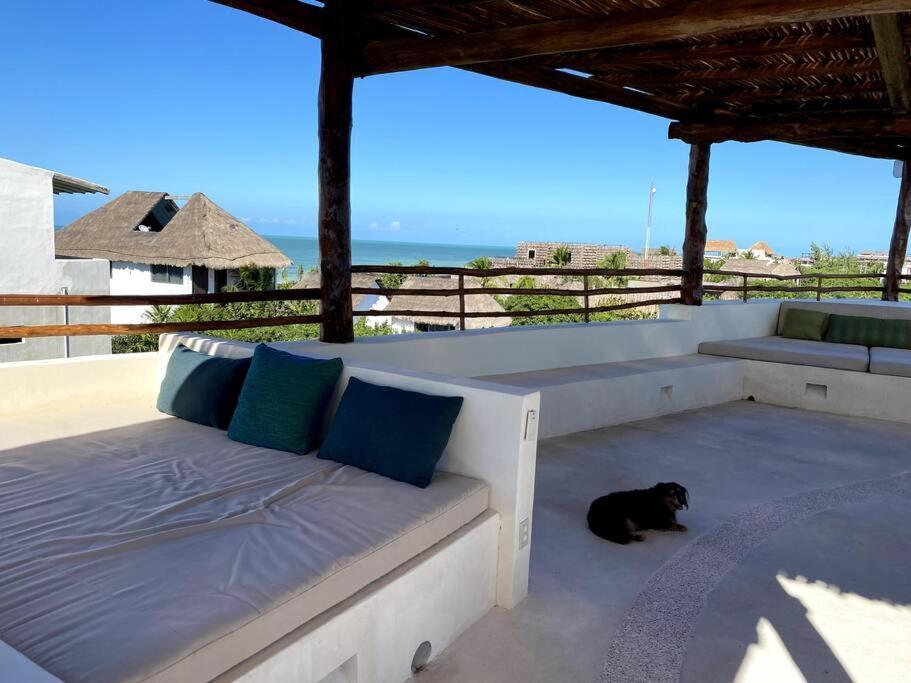Casa Molly