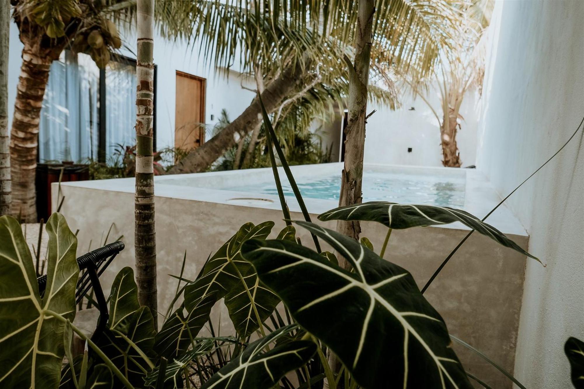 Apartamento & Madre Self-check In Isla Holbox