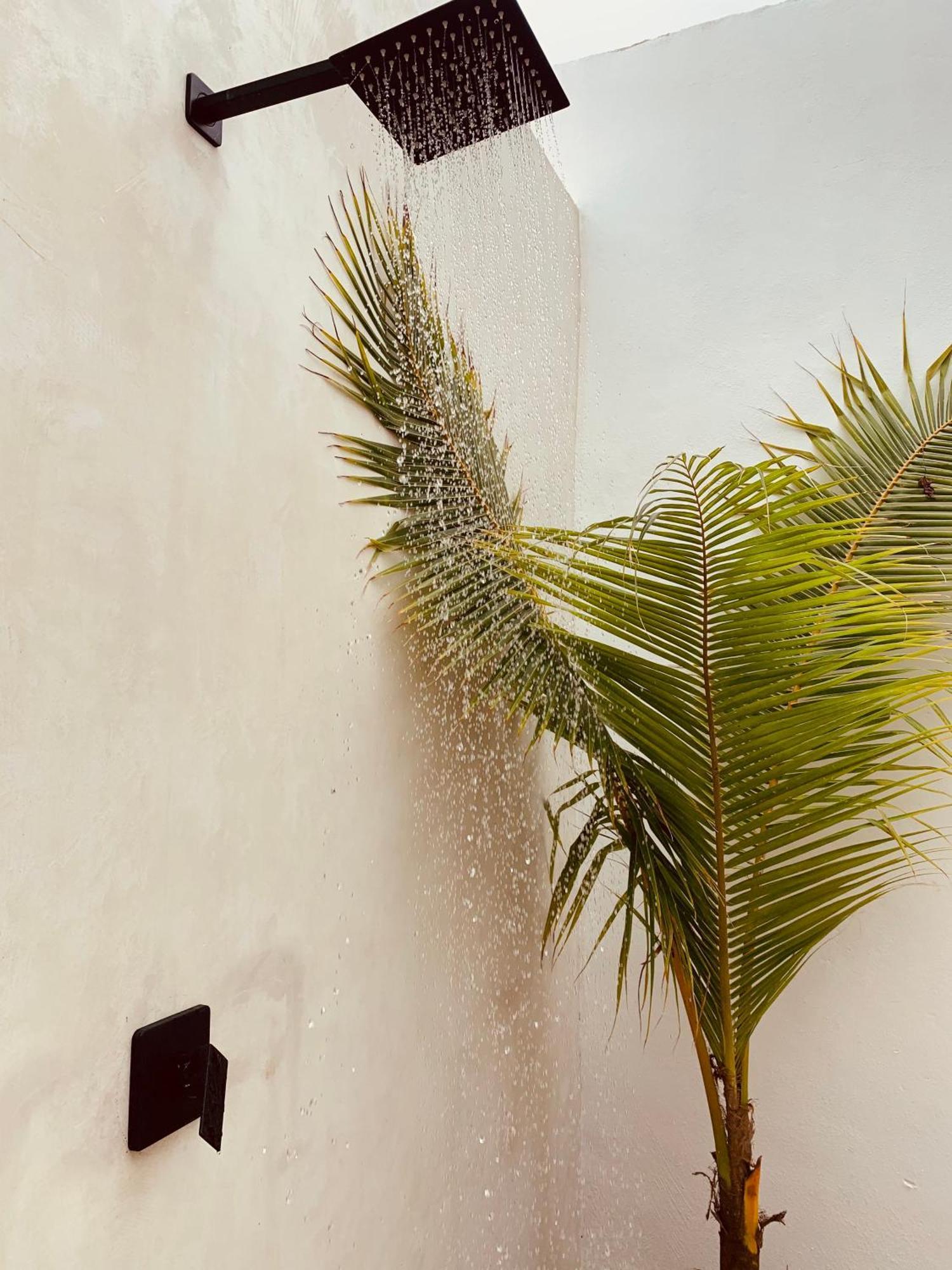 Apartamento & Madre Self-check In Isla Holbox