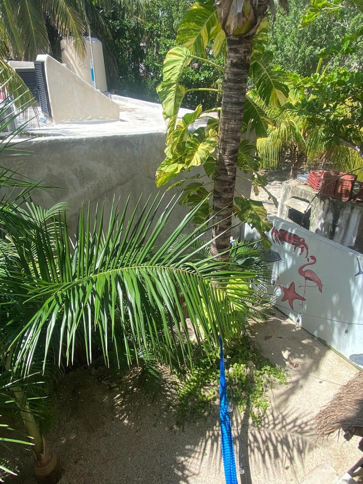Hotel Pelecanus Isla Holbox
