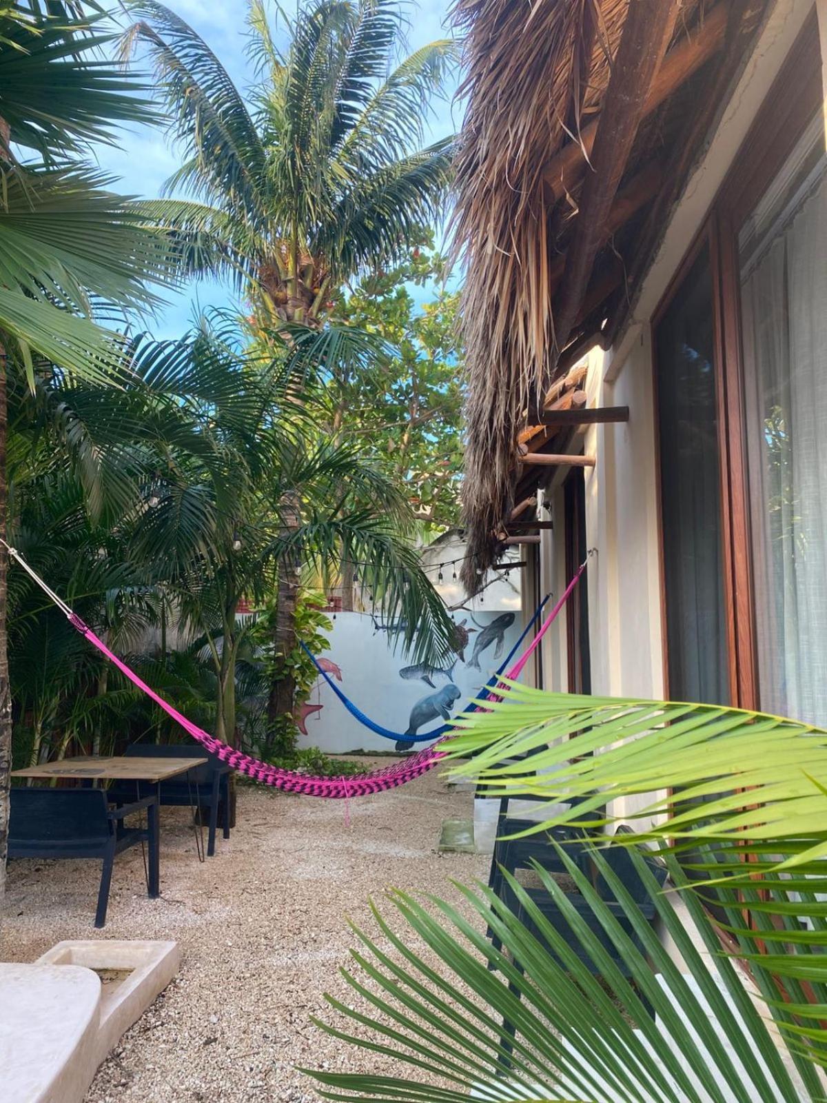Hotel Pelecanus Isla Holbox
